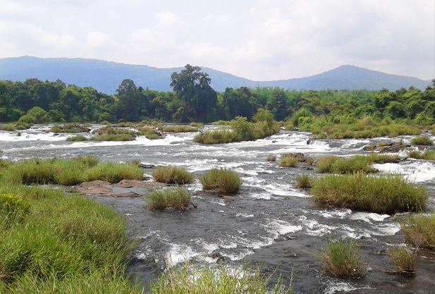 karadippara