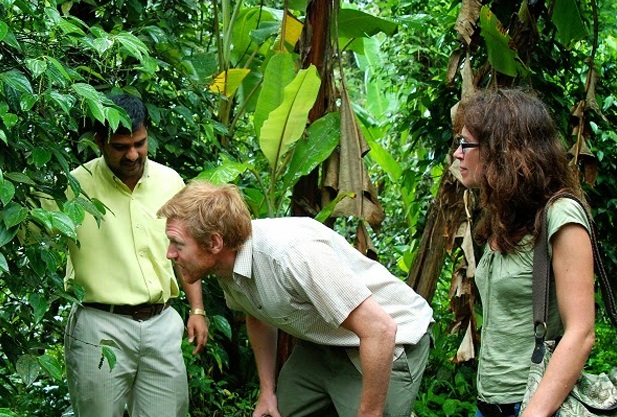 Spice Plantations